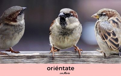 Las 3 claves que usan quienes saben escuchar de forma respetuosa
